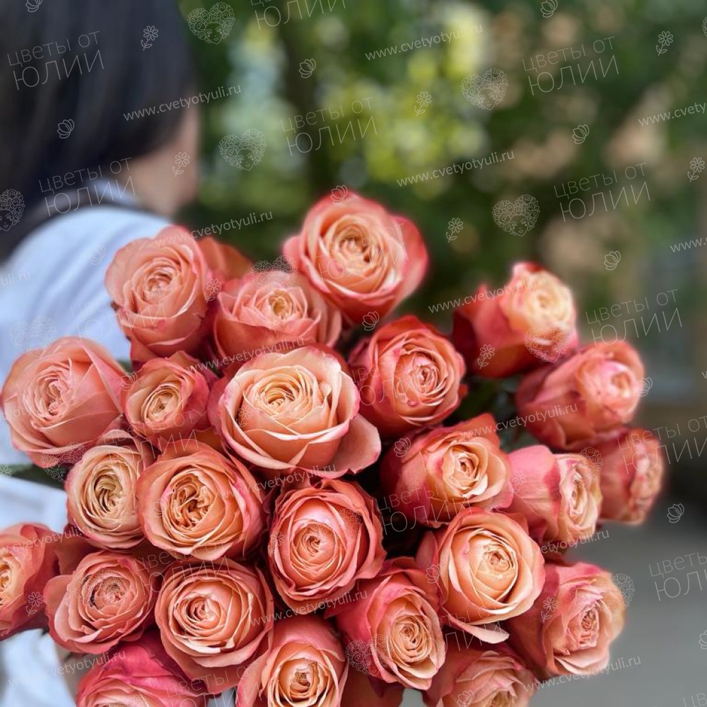 25 роз 60 см Кахала пачка в Калуге