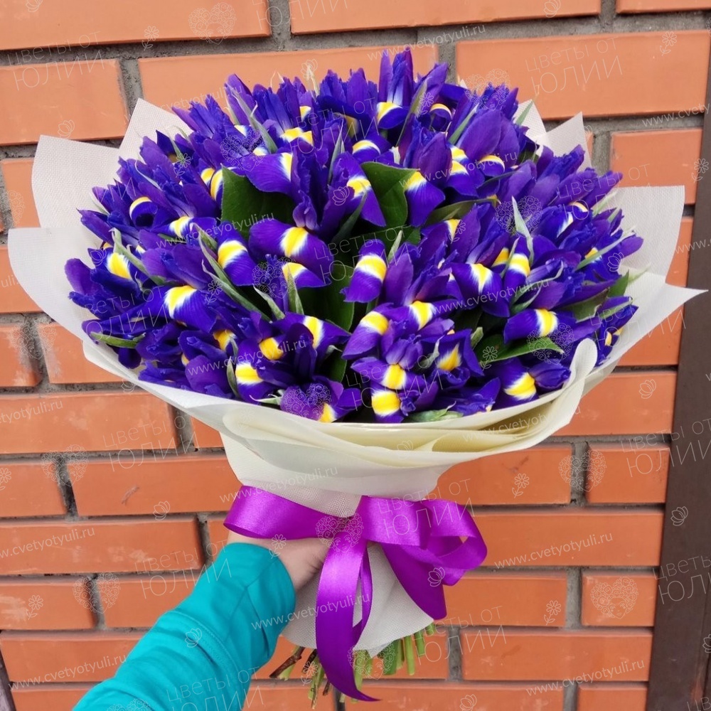 Букет 51 ирис