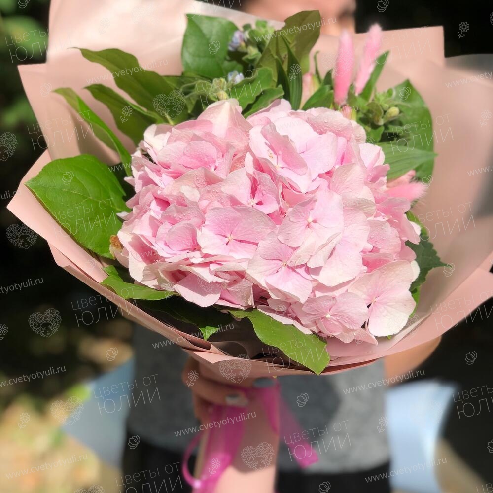Букет из 1 гортензии Зефирка