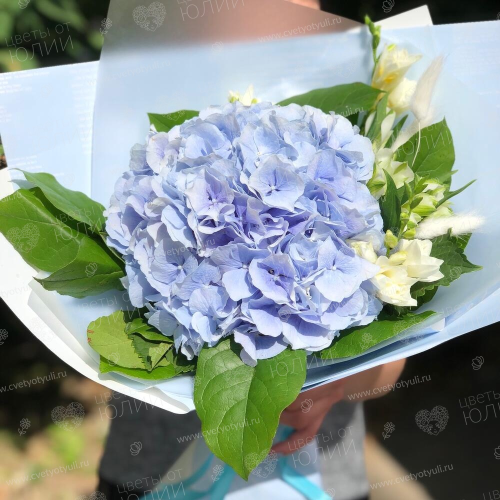 Букет из 1 синей гортензии