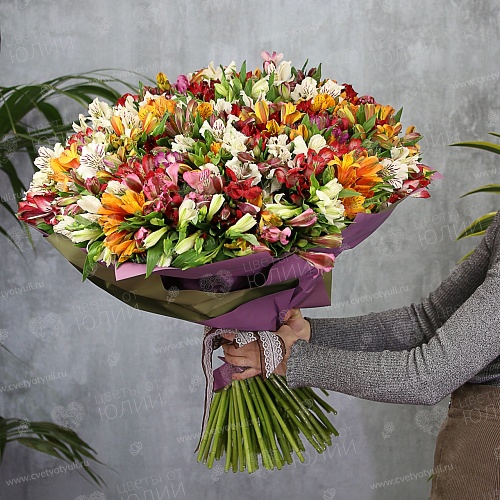 Букет из 101 альстромерий
