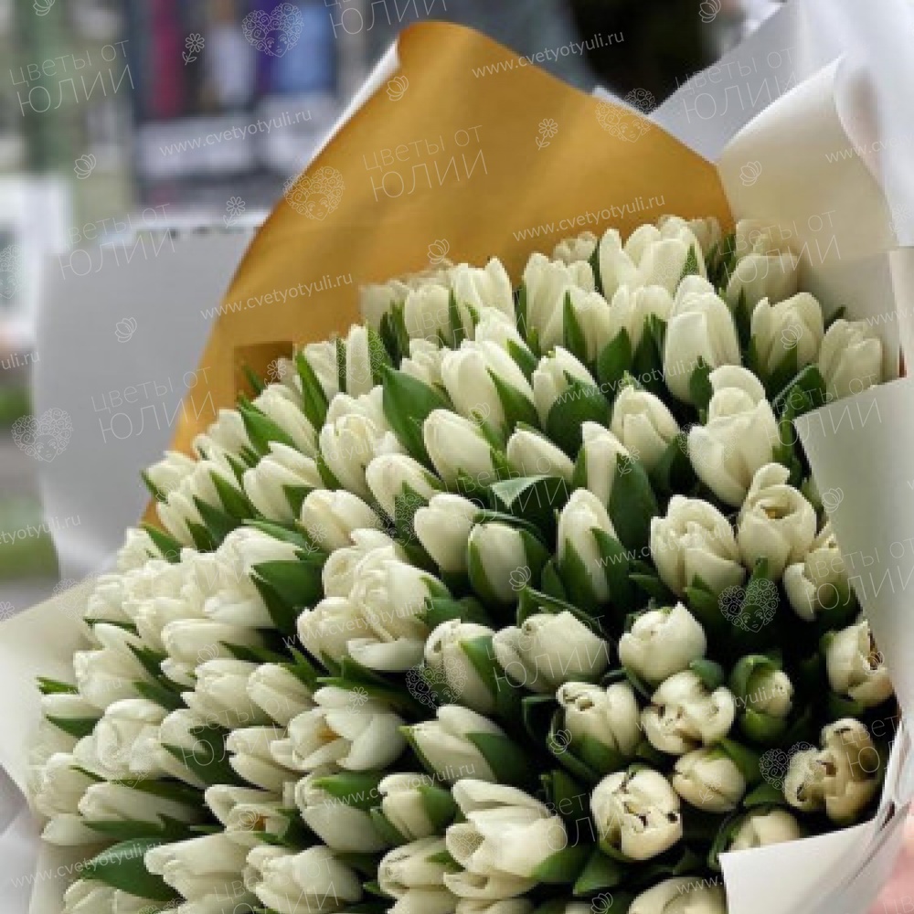 Букет из 101 белого тюльпана