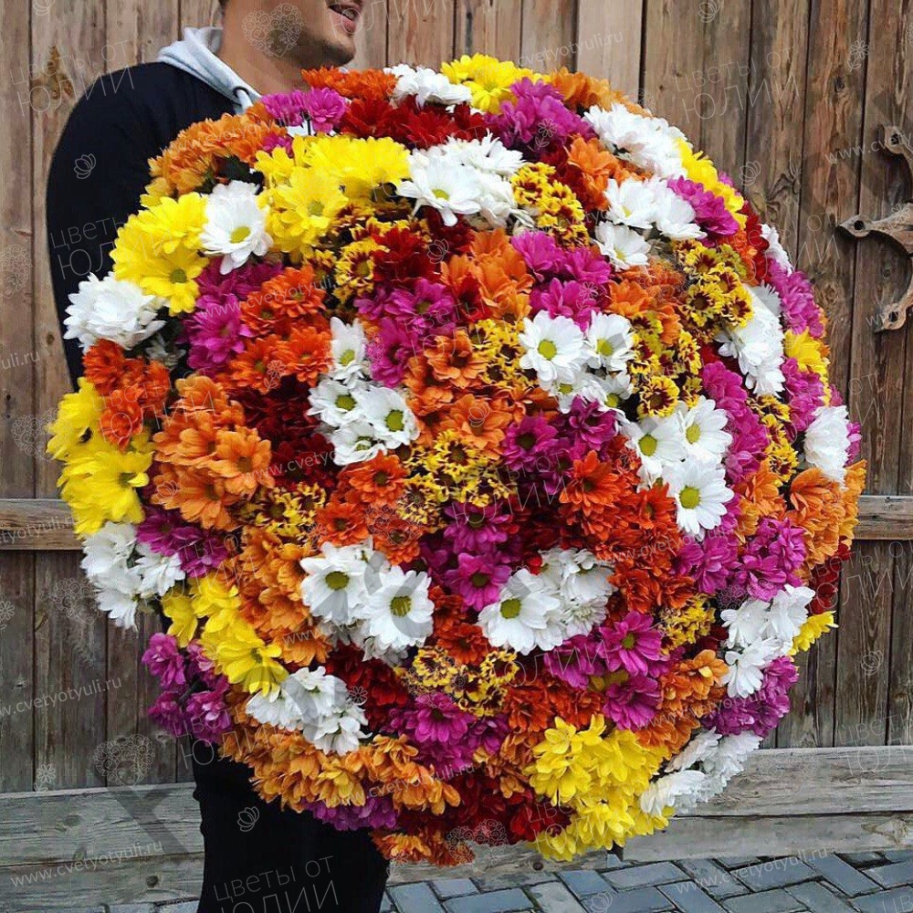 Букет из 101 кустовой хризантемы