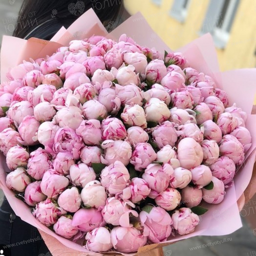 Букет из 101 пиона