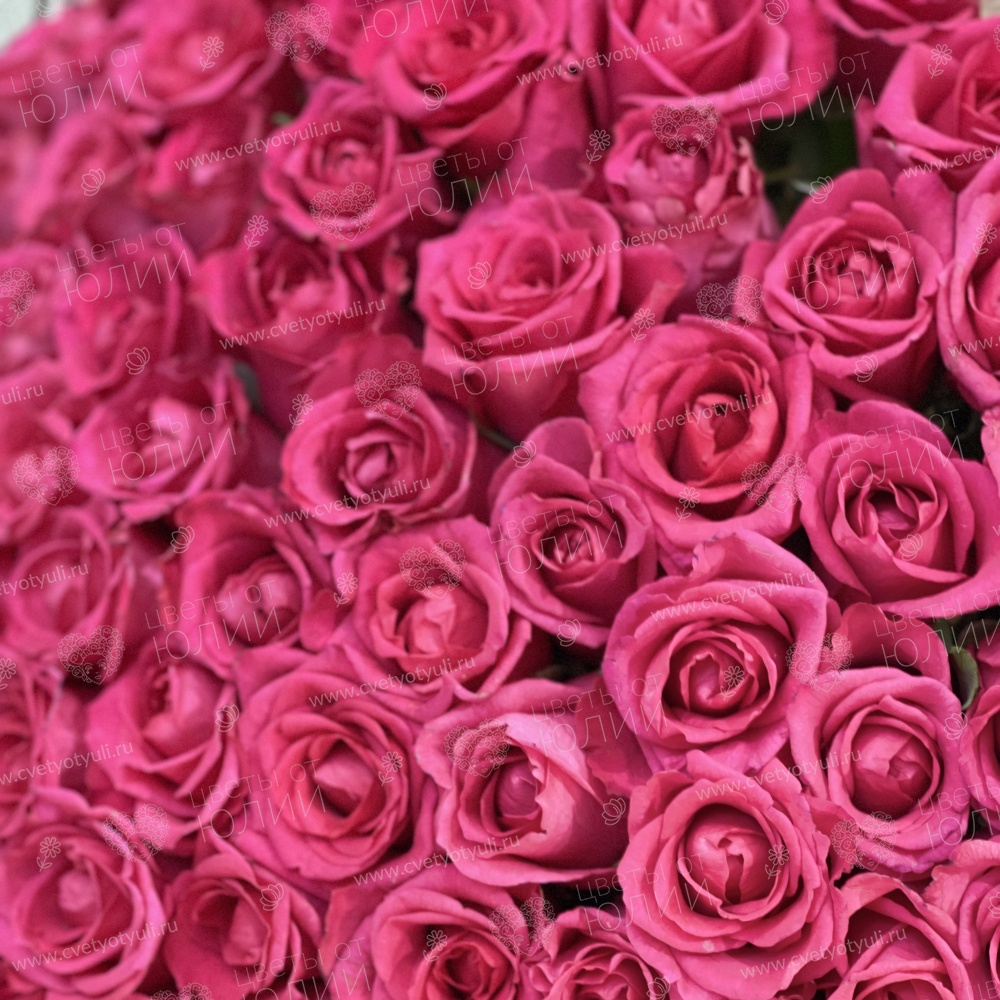 Букет из 101 розовой розы 50 см