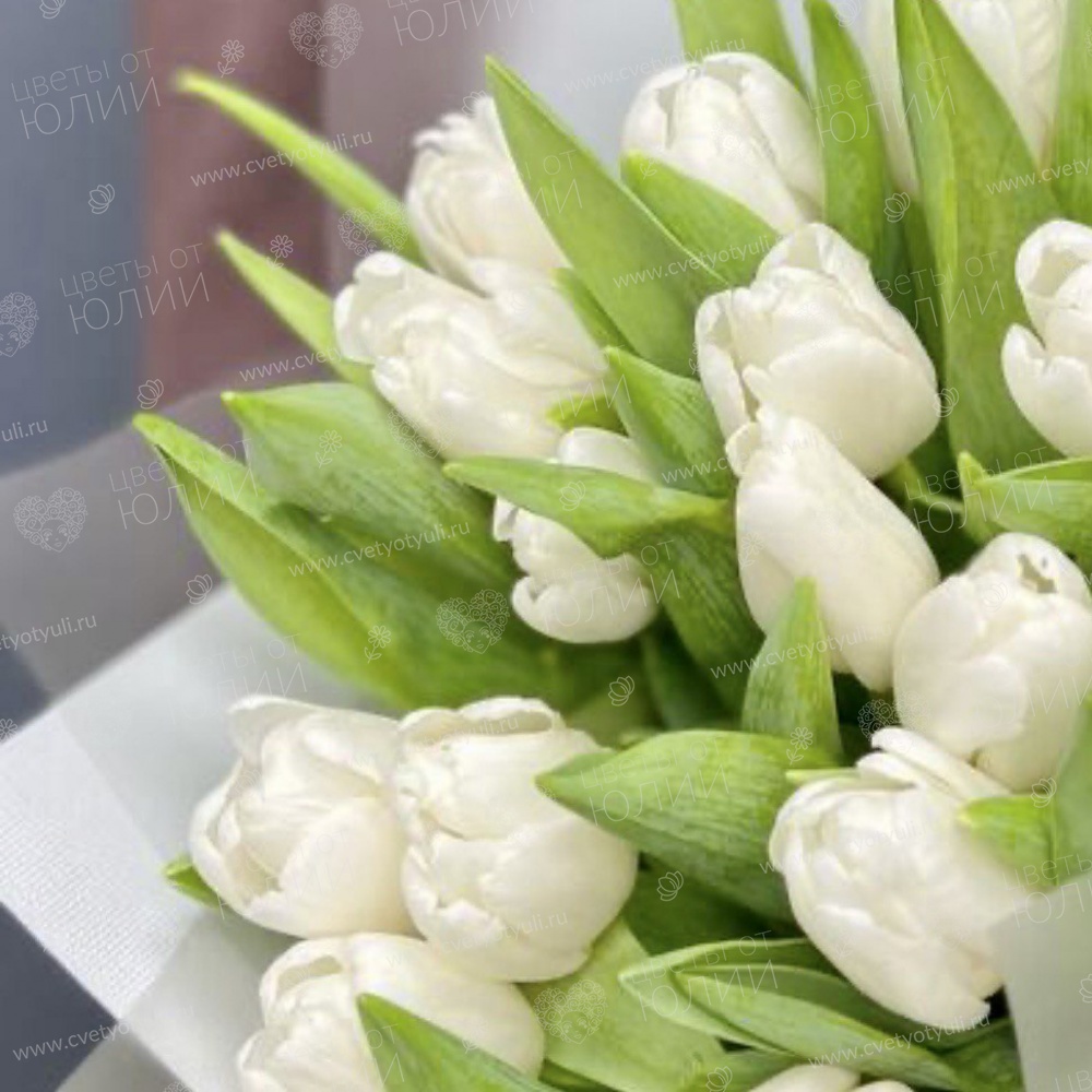 Букет из 15 белых тюльпанов