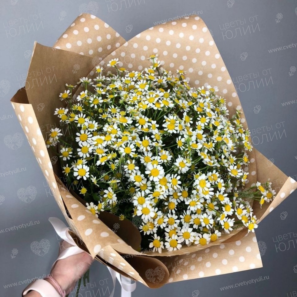 Букет из 15 веток танацетума