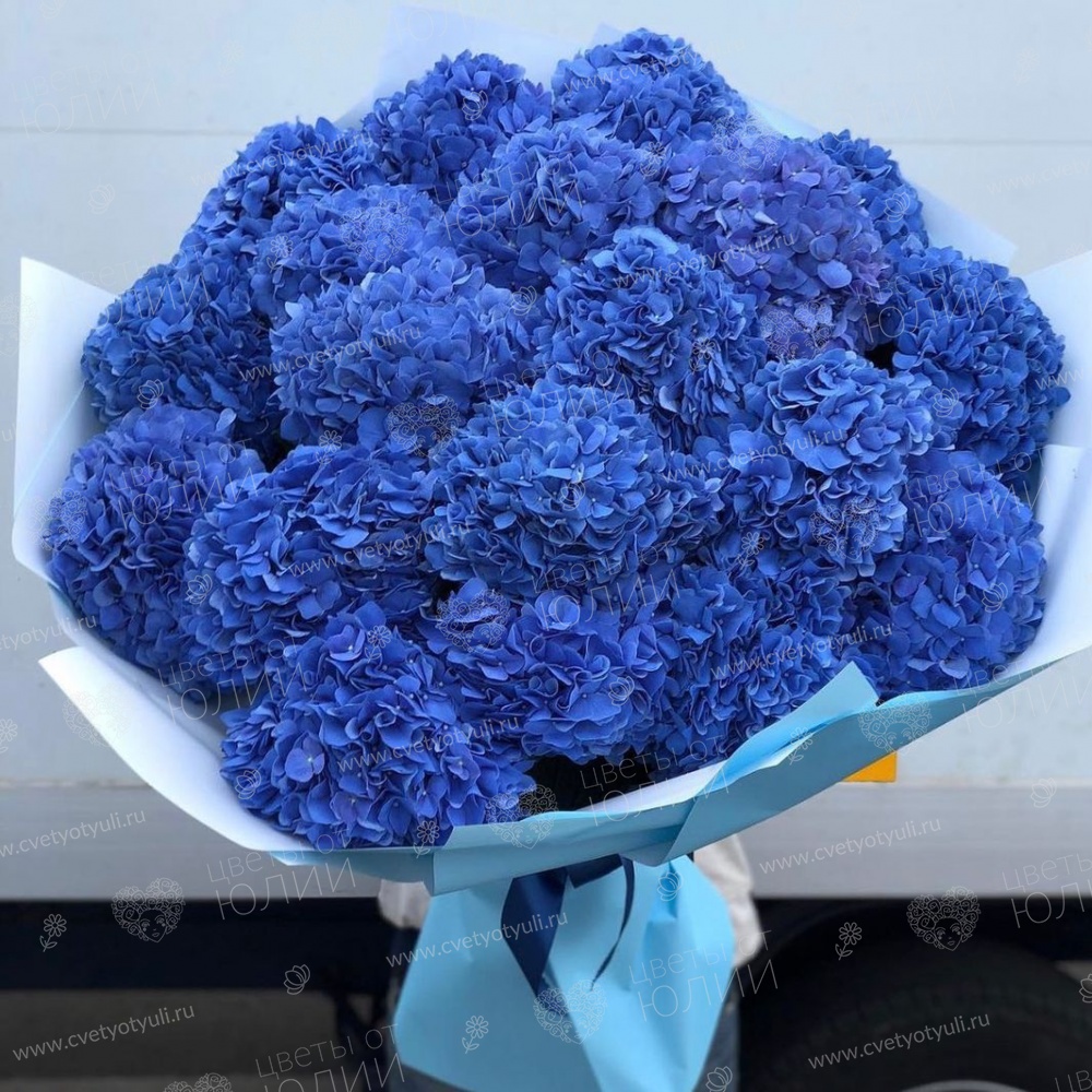 Букет из 19 синих гортензий