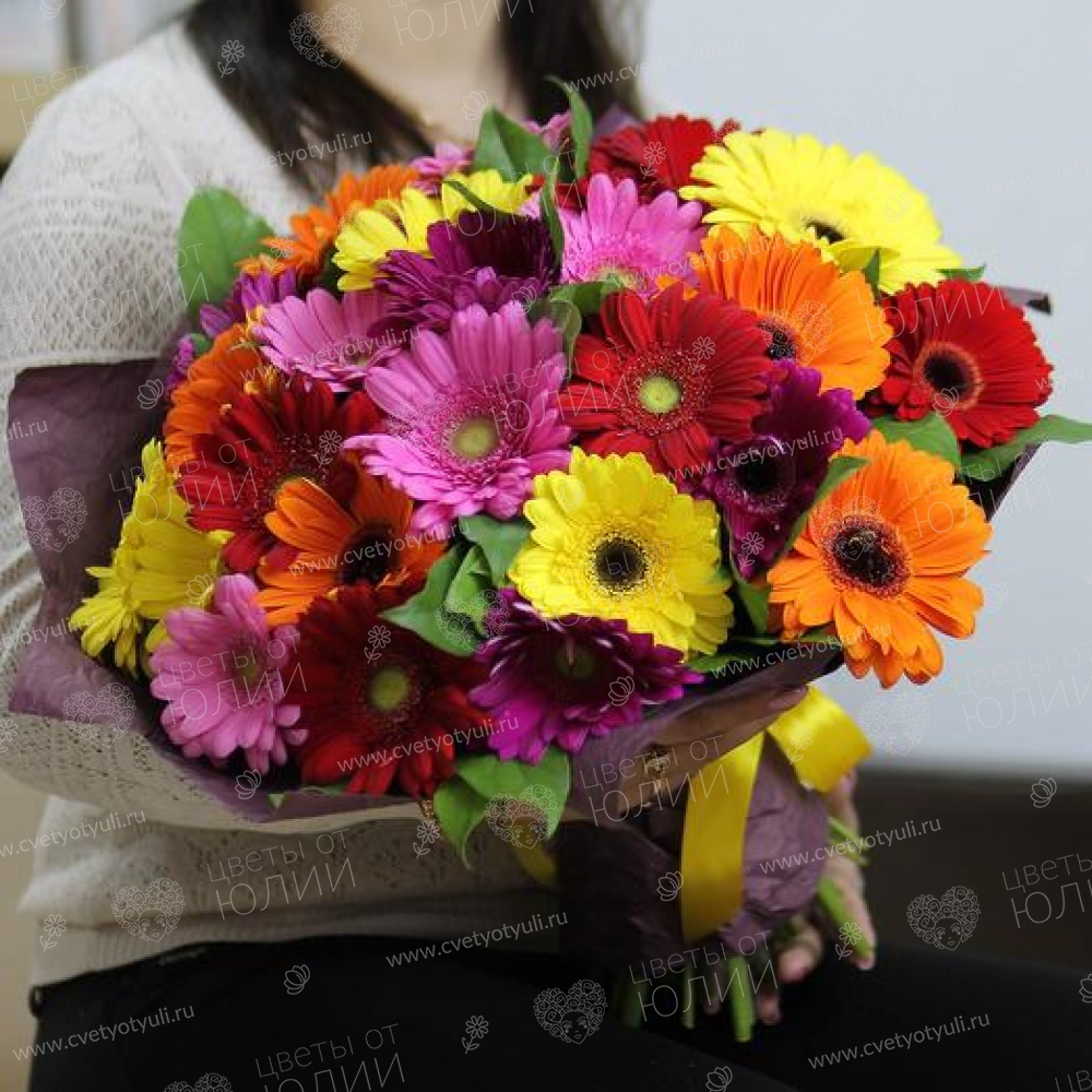 Букет из 25 гербер с зеленью