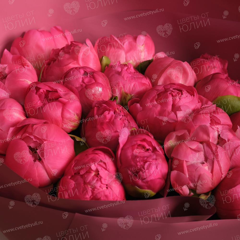 Букет из 25 коралловых пионов