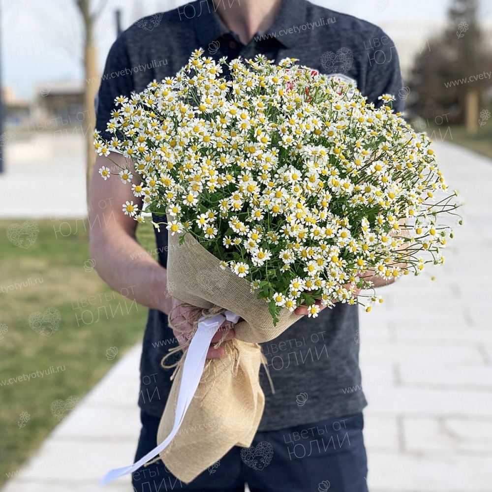 Букет из 25 полевых ромашек
