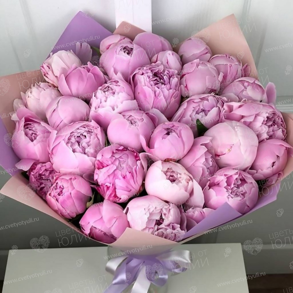 Букет из 33 пионов