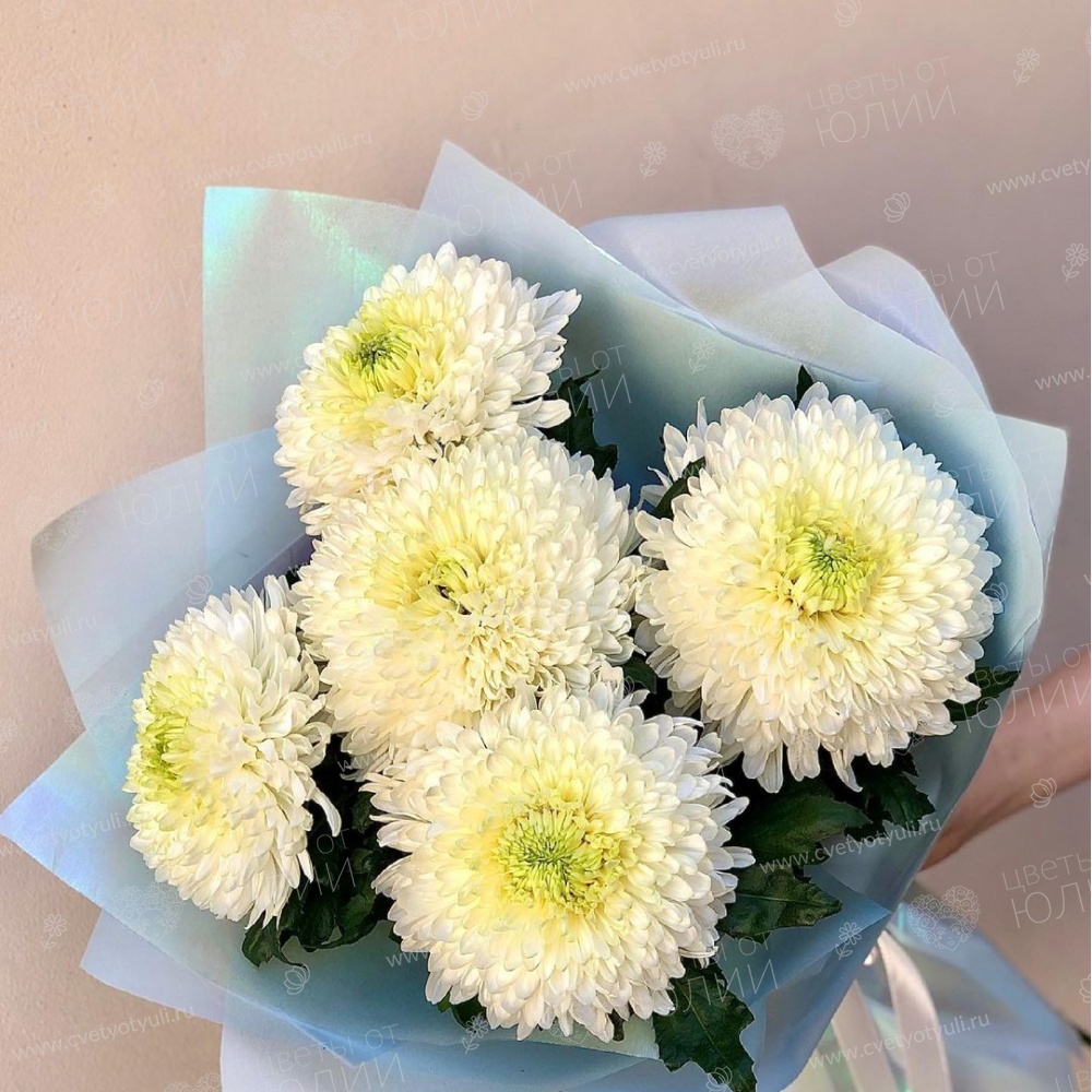 Букет из 5 круглых хризантем