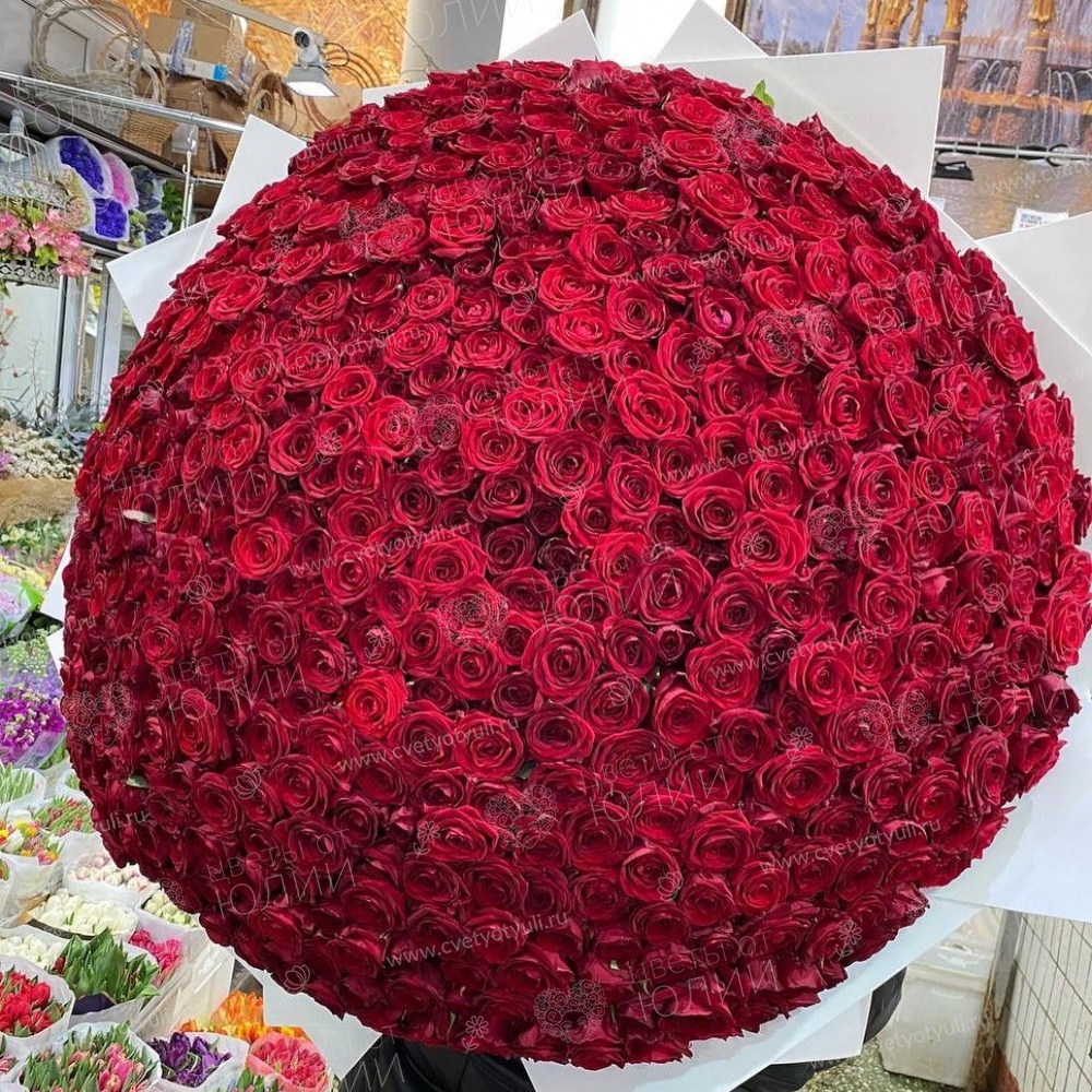 Букет из 501 розы 80 см