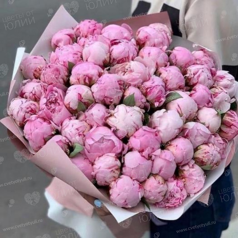 Букет из 51 пиона