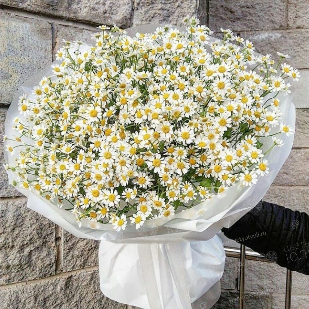 Букет из 51 ромашки