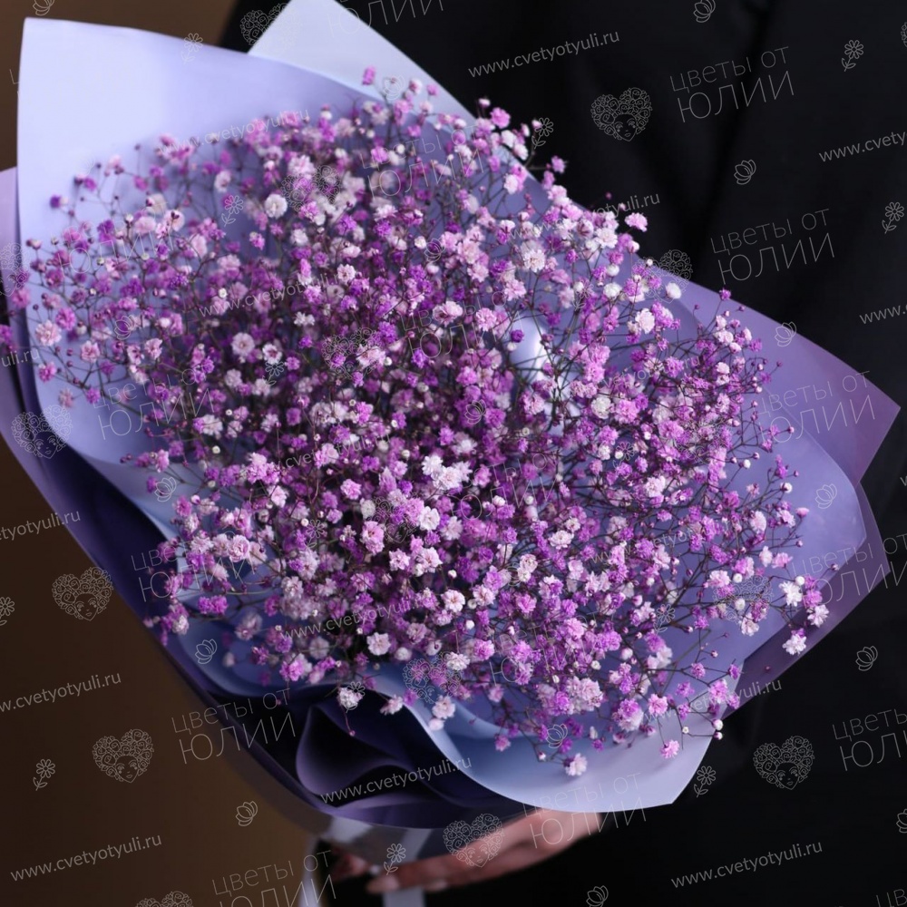 Букет из 7 фиолетовых гипсофил