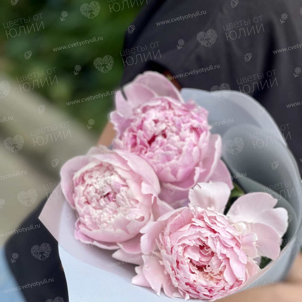 Букет из пионов Ренита