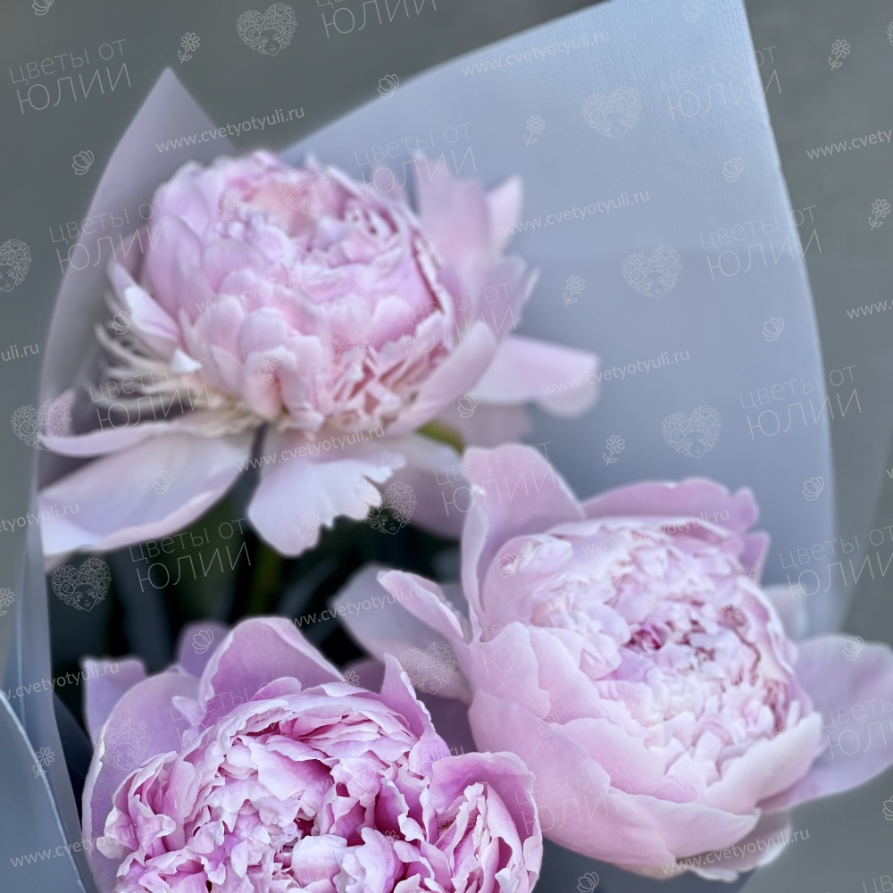 Букет из пионов Ренита