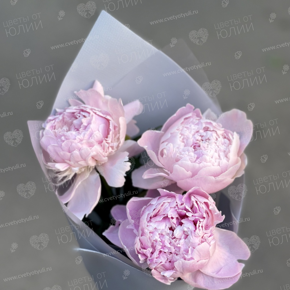 Букет из пионов Ренита