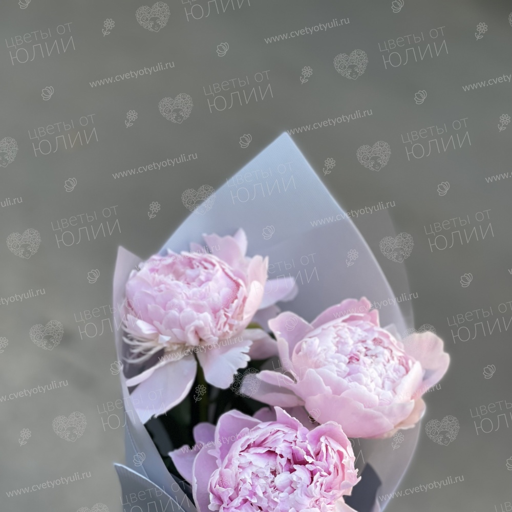 Букет из пионов Ренита