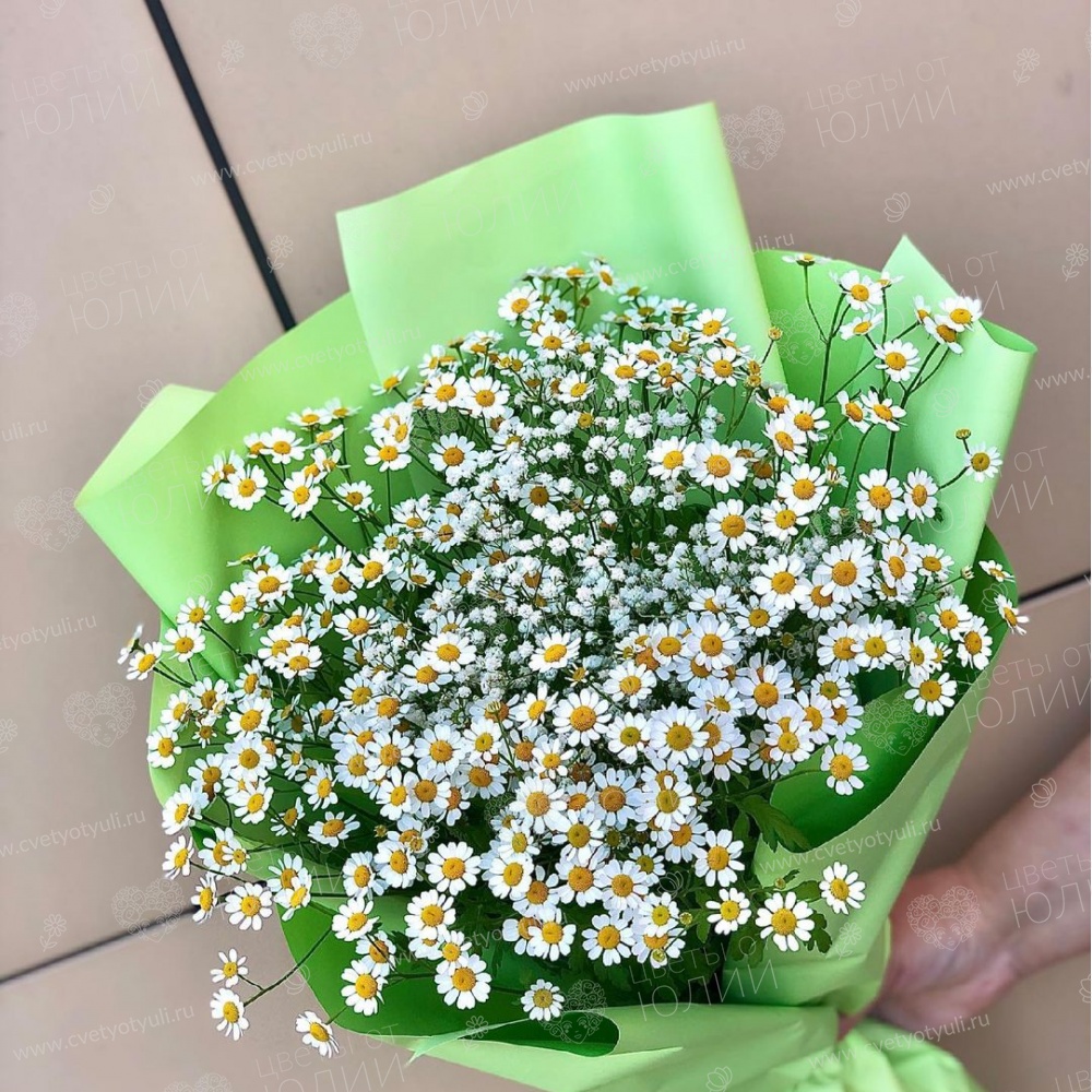 Букет из ромашек Белла