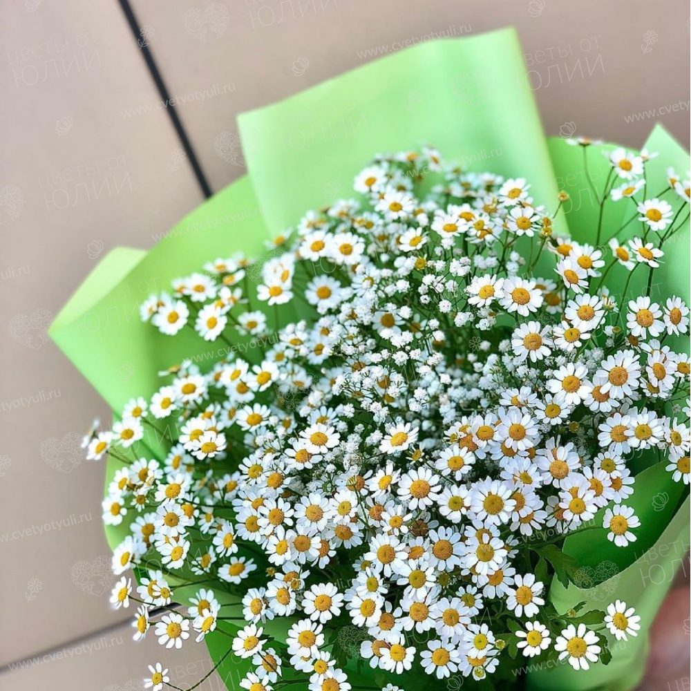 Букет из ромашек Белла