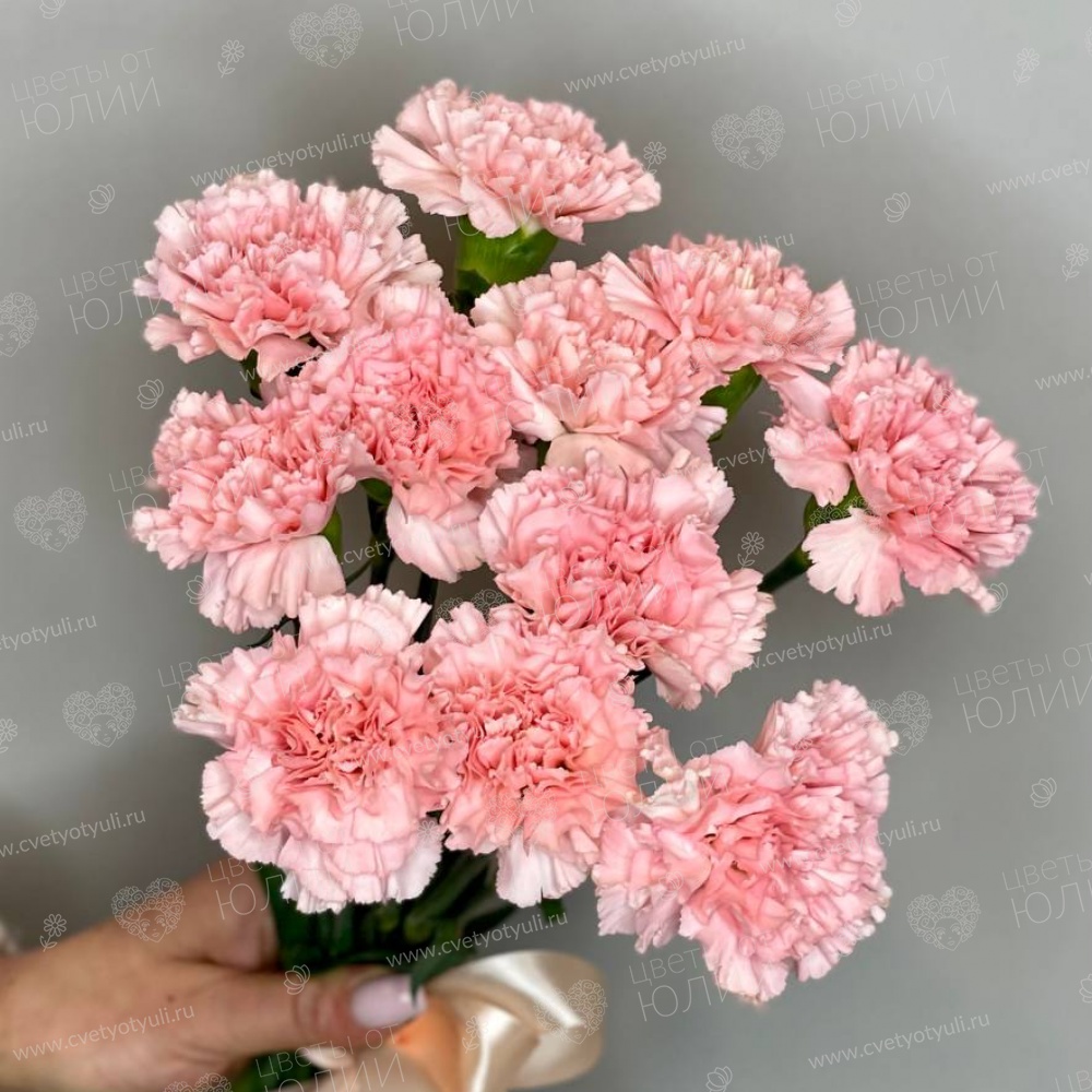 Букет Розовые диантусы 11 шт