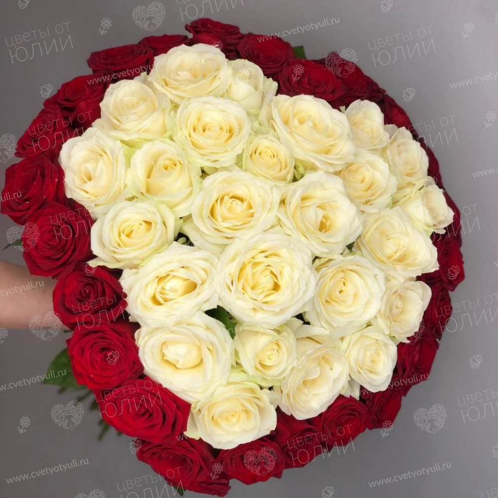 Букет  из 51 красно-белой розы 50 см