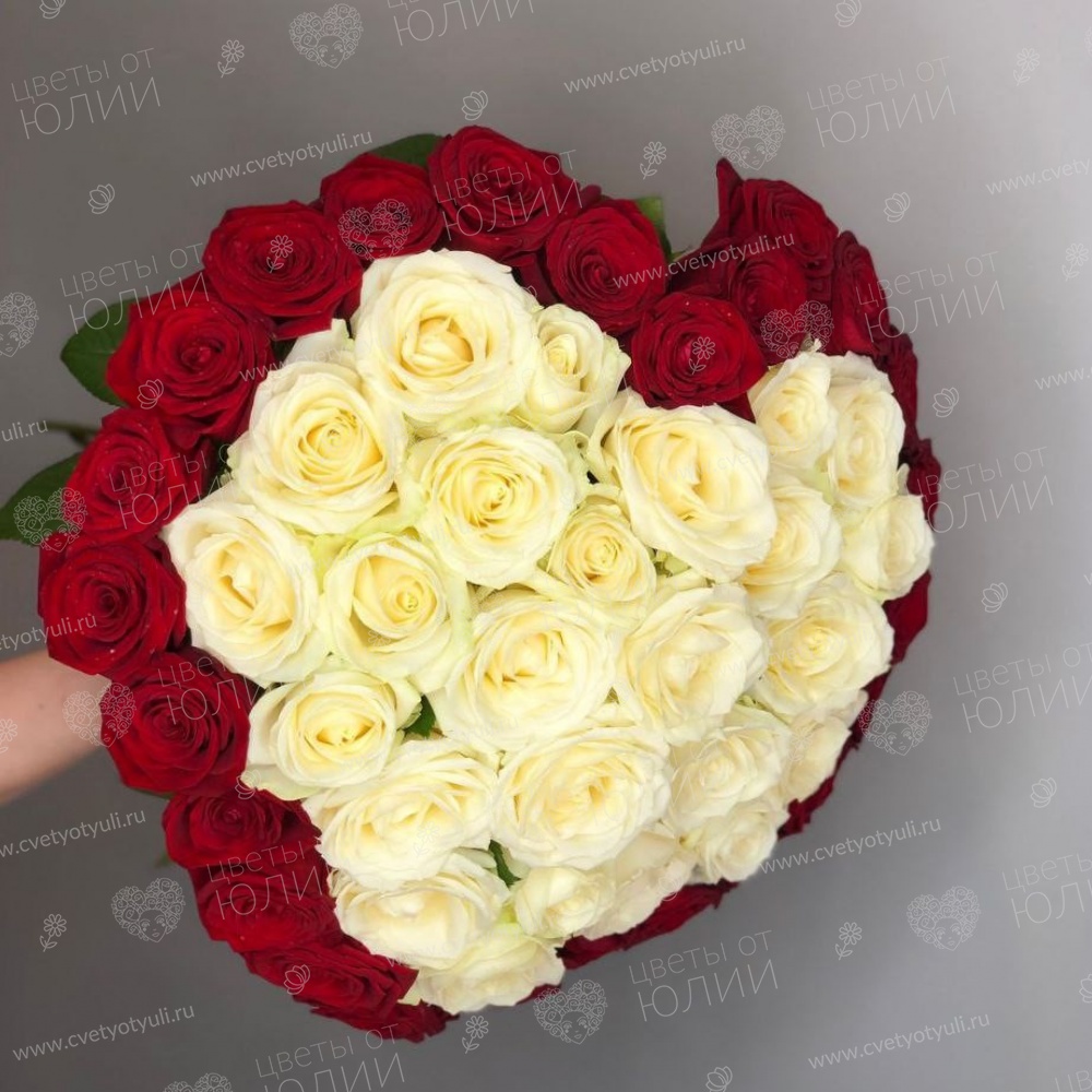 Букет  из 51 красно-белой розы 50 см