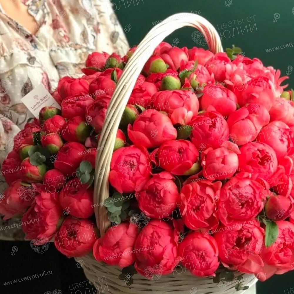 Коралловые пионы в корзине - 101 шт