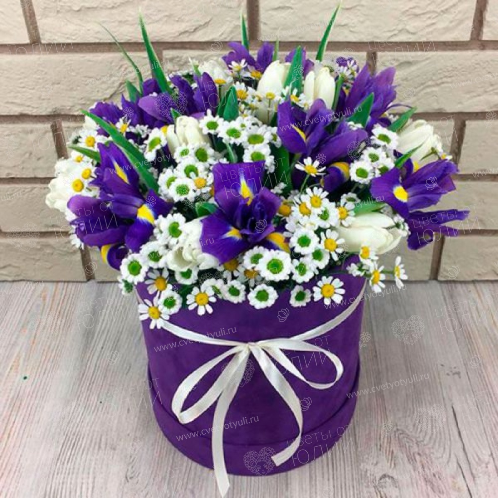 Коробка ирисы с ромашками