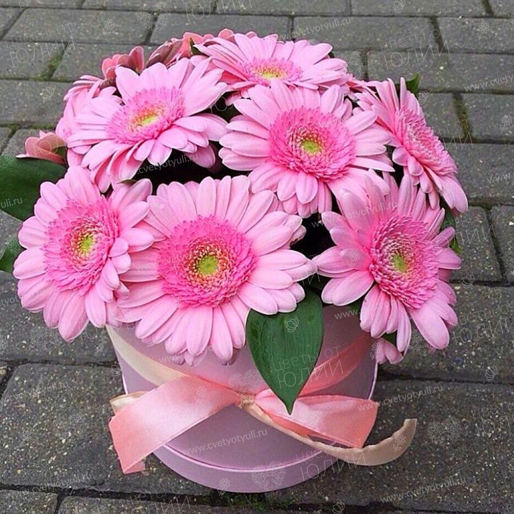 Коробка из 11 гербер с зеленью