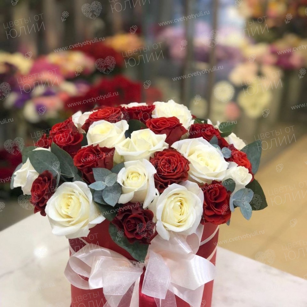 Коробка из 31 красно-белой розы Калипсо