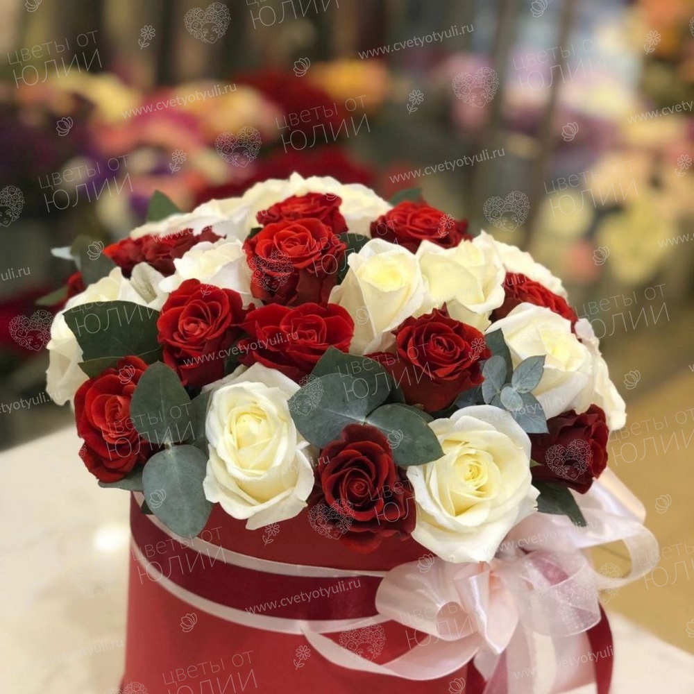 Коробка из 31 красно-белой розы Калипсо
