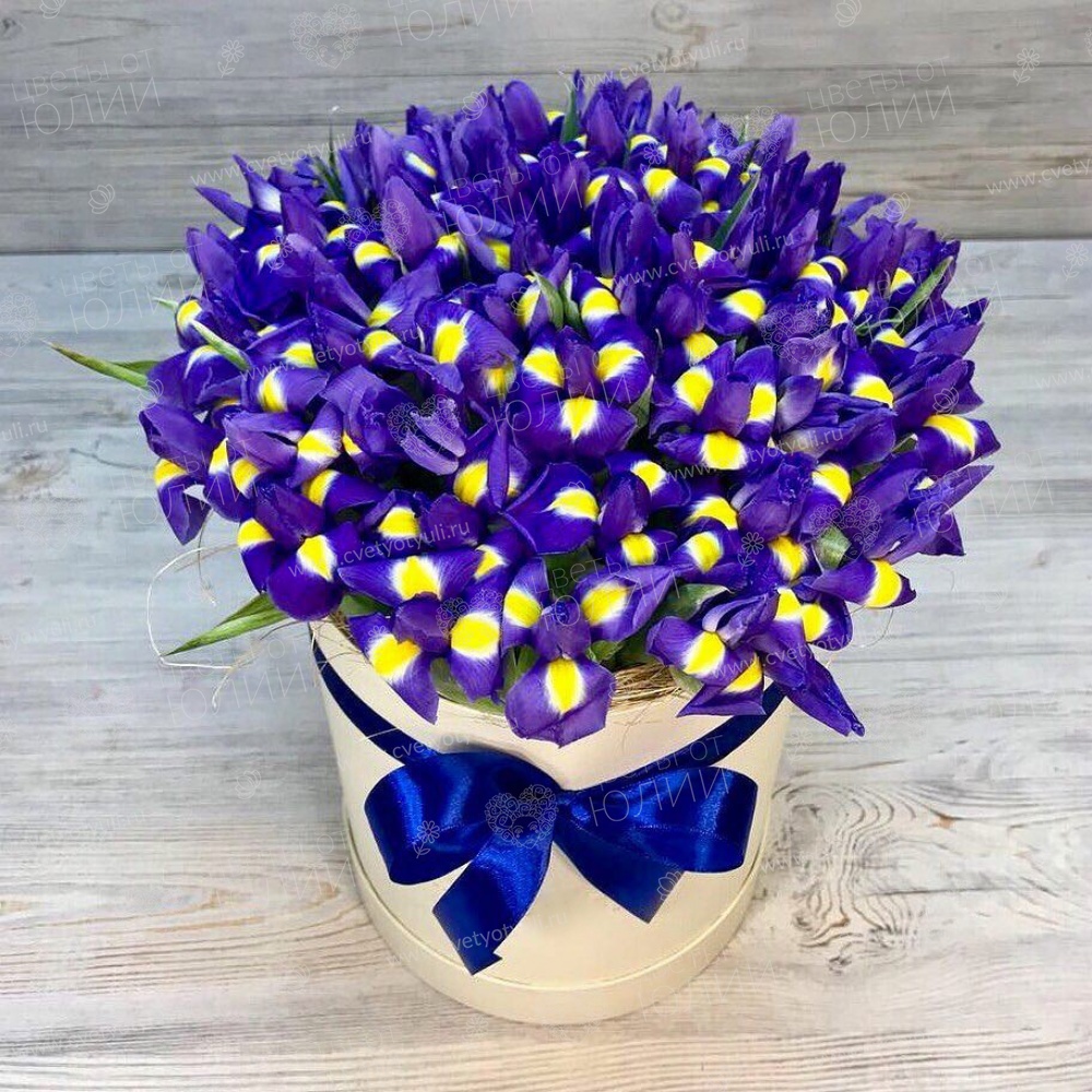 Коробка из 51 ириса