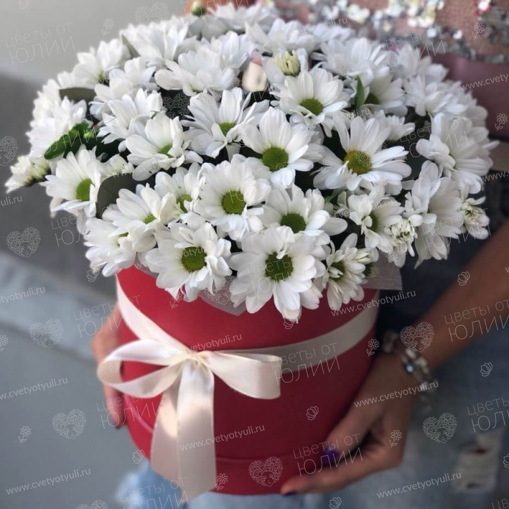 Коробка из 7 хризантем Летнее мгновенье