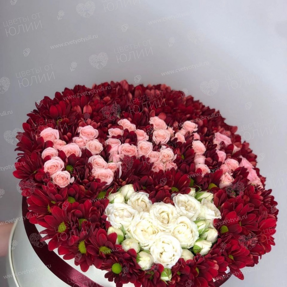 Коробка из пышных хризантем Сердце для Мамы