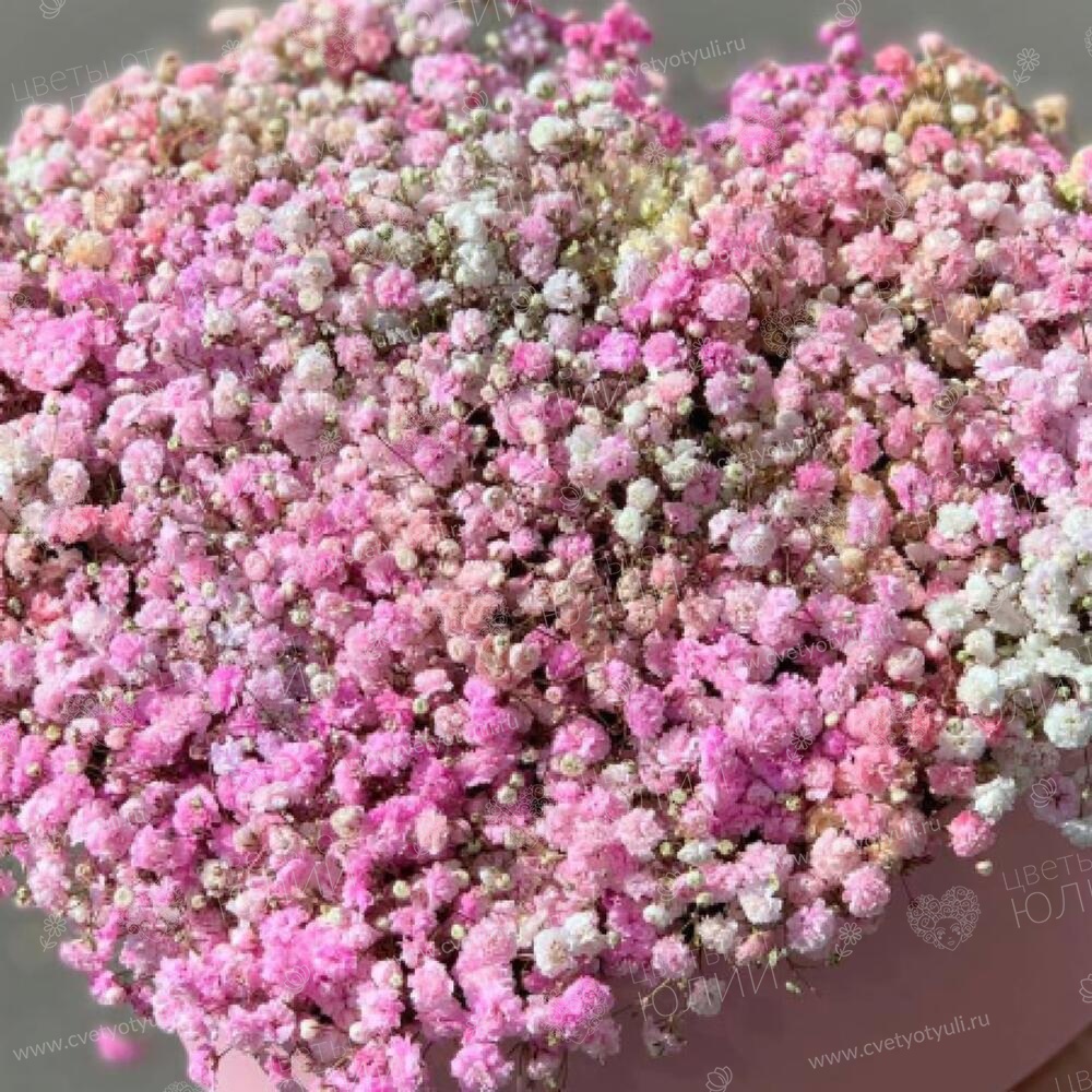 Коробка Сердце из розовых гипсофил