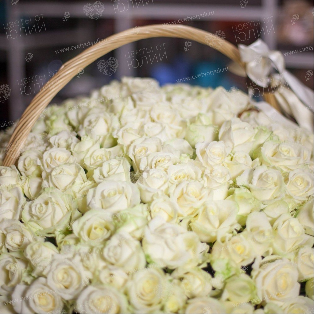 Корзина из 101 белой розы