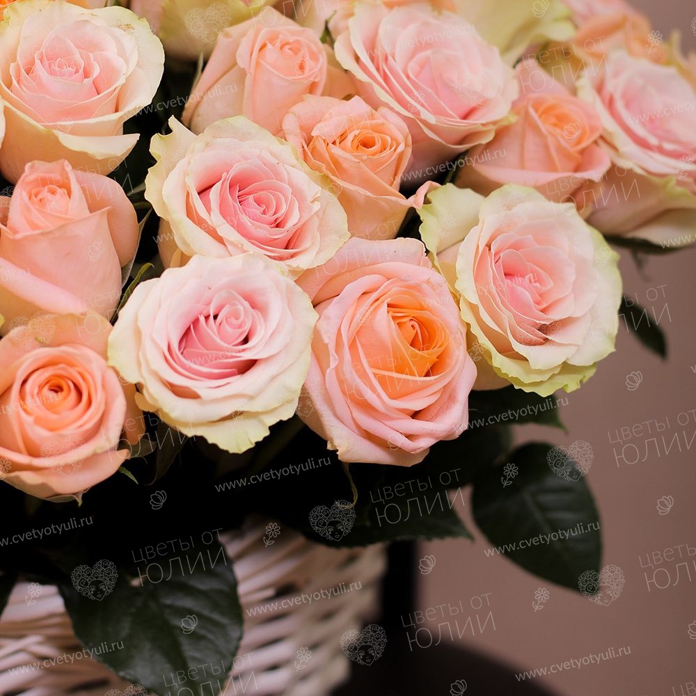 Корзина из 101 кремовой розы