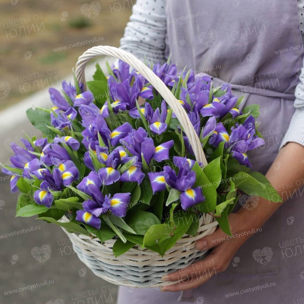 Корзина из 25 ирисов