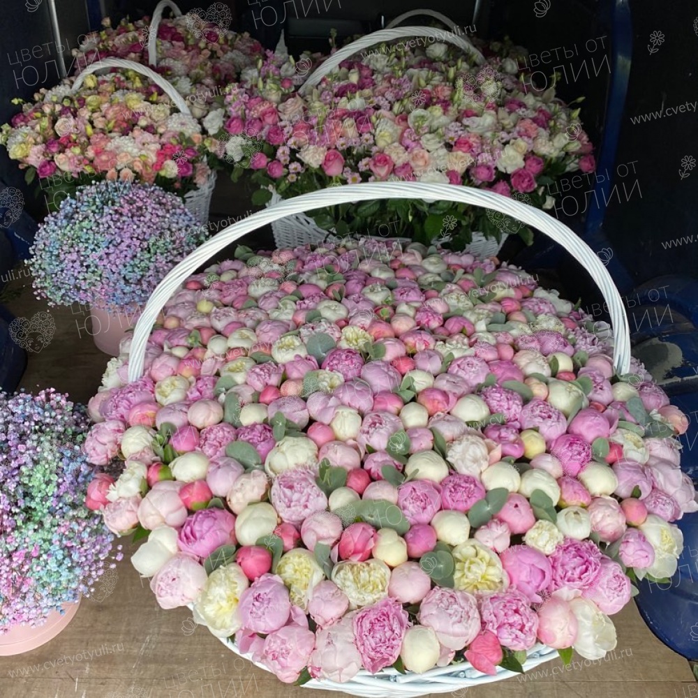 Корзина из 301 пиона