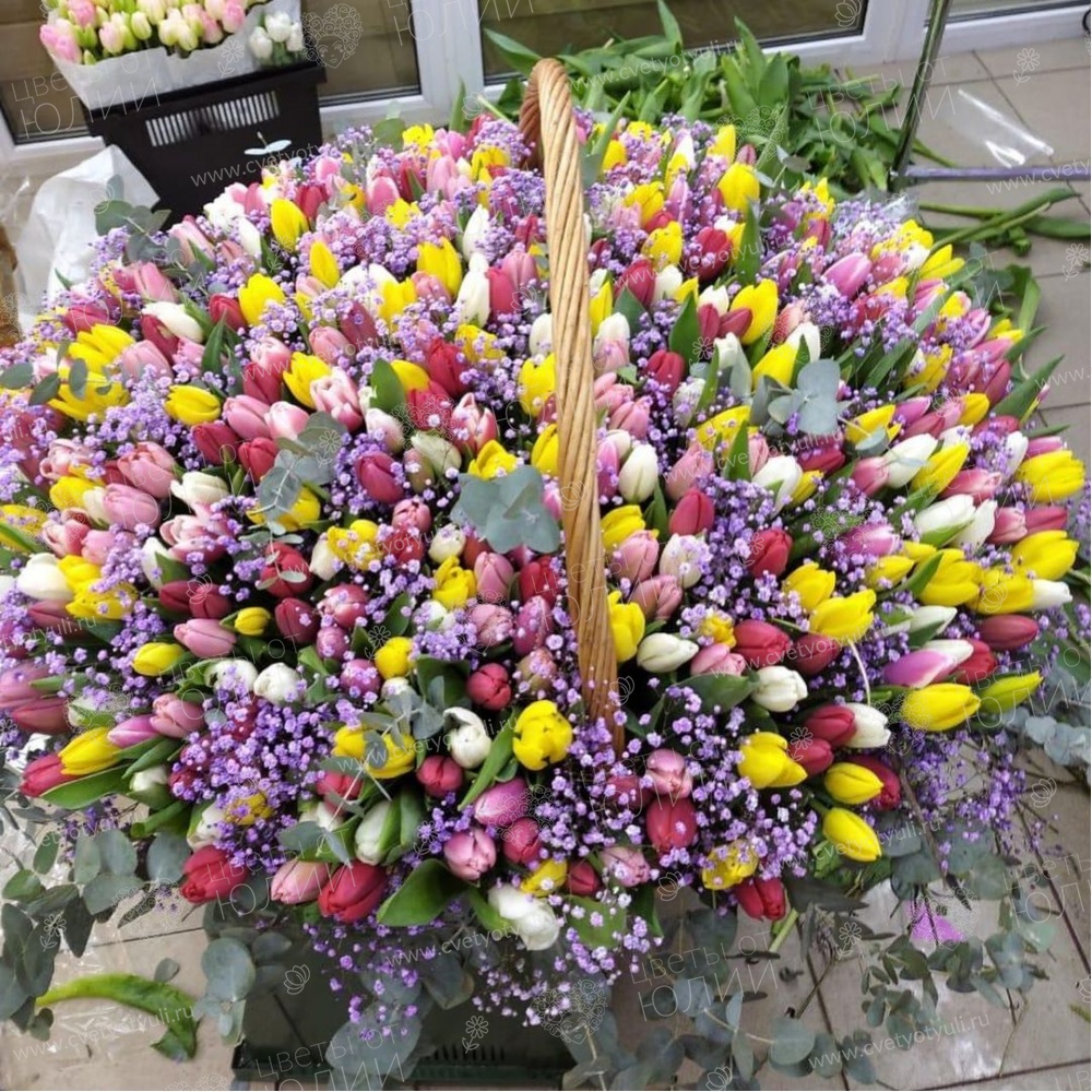 Корзина из 301 тюльпана и гипсофил Радужный водопад