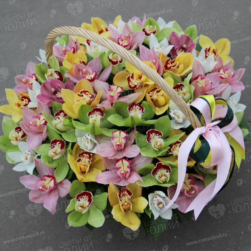 Корзина из 51 орхидеи