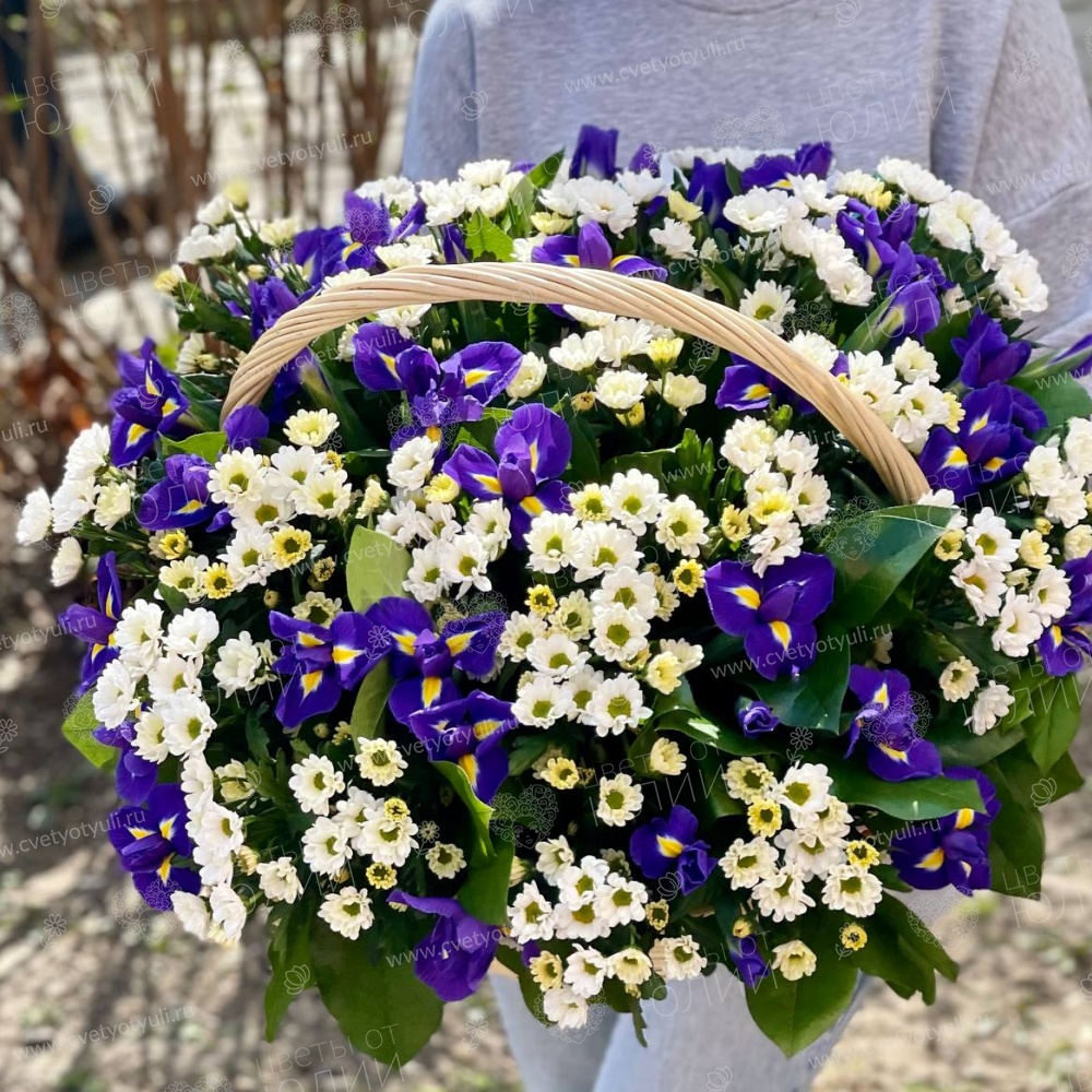 Корзина из ирисов и ромашек Аврелия