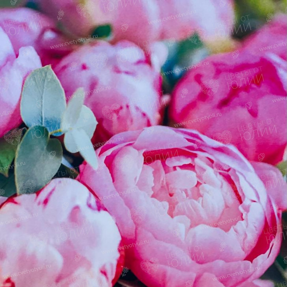 Красивая открытка с 4 шоколадками