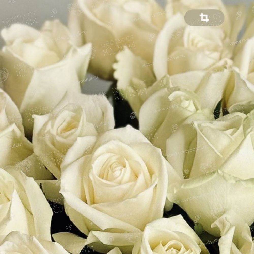 Букет из 51 розы местной