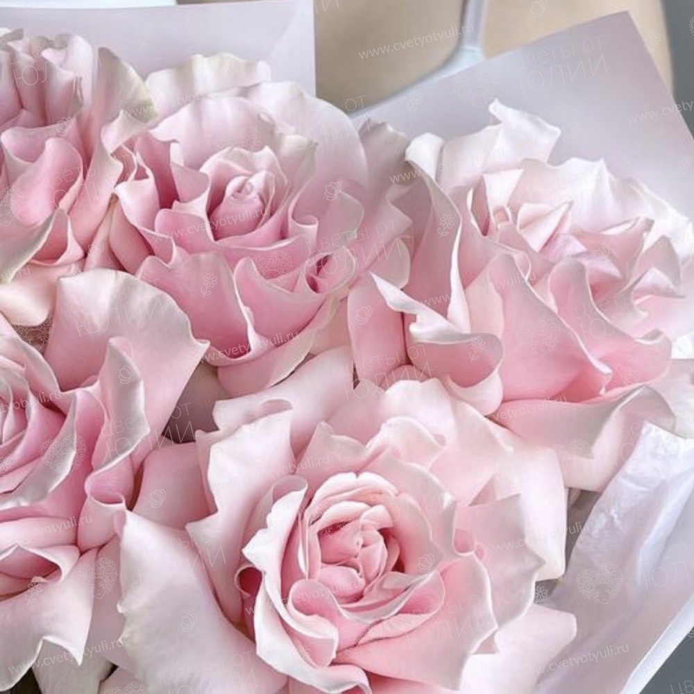 Букет из 5 французских роз