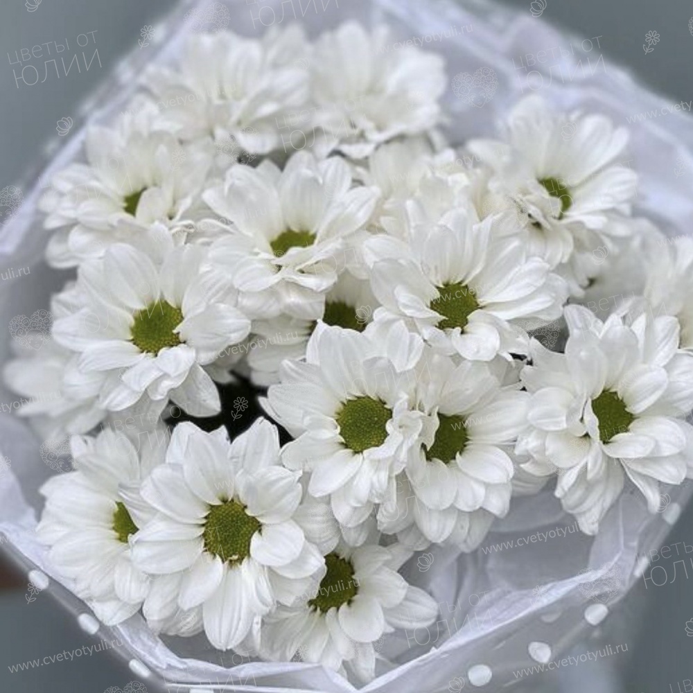 Букет из 3 кустовых хризантем